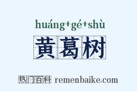 黄葛树是什么意思的图片